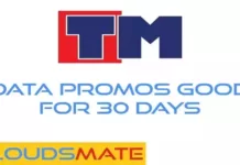 TM Data Promos Good For 30 Days