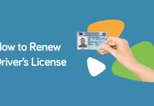 drivers license renewal